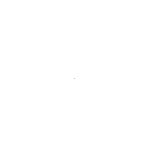logo cnf blanc
